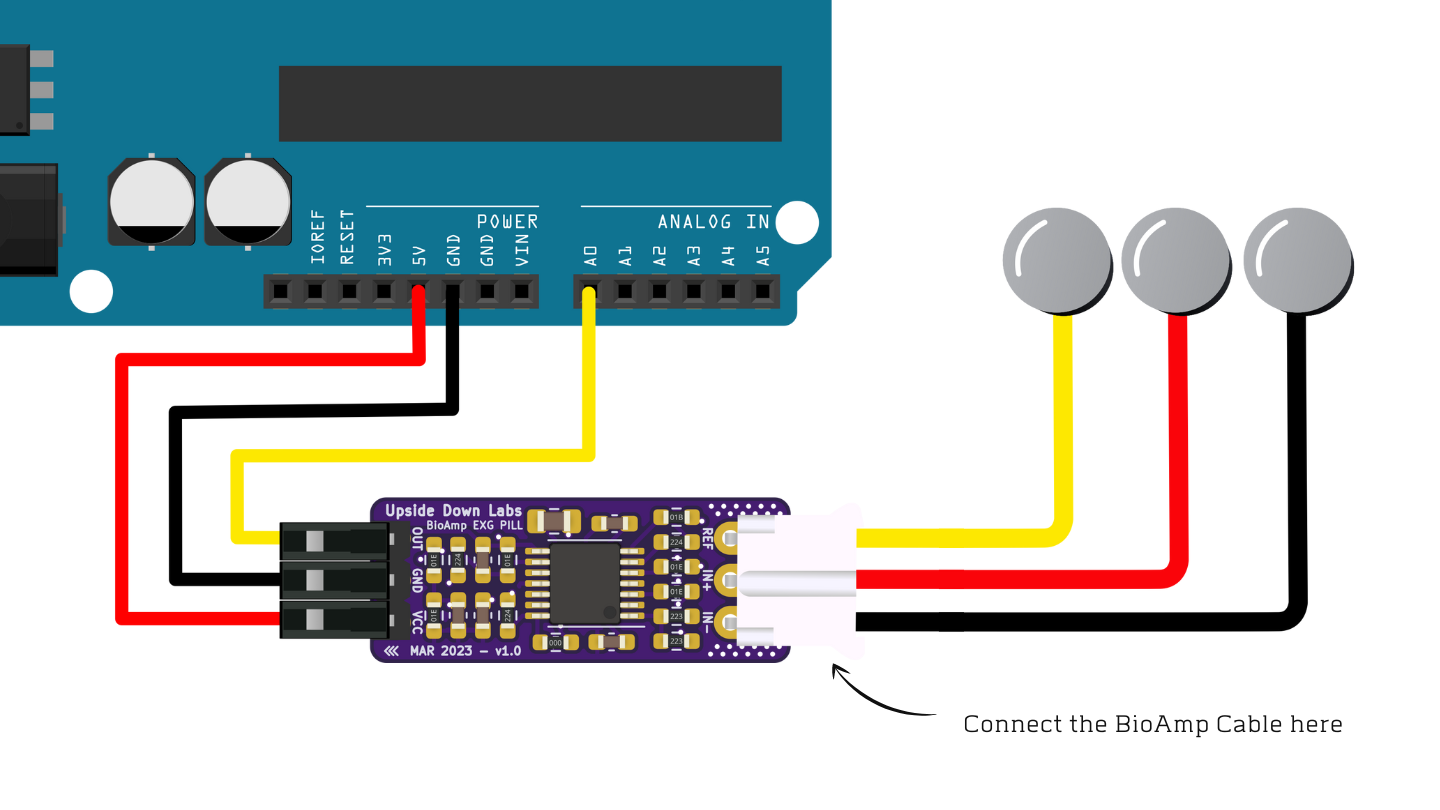 Connections with BioAmp Cable v3