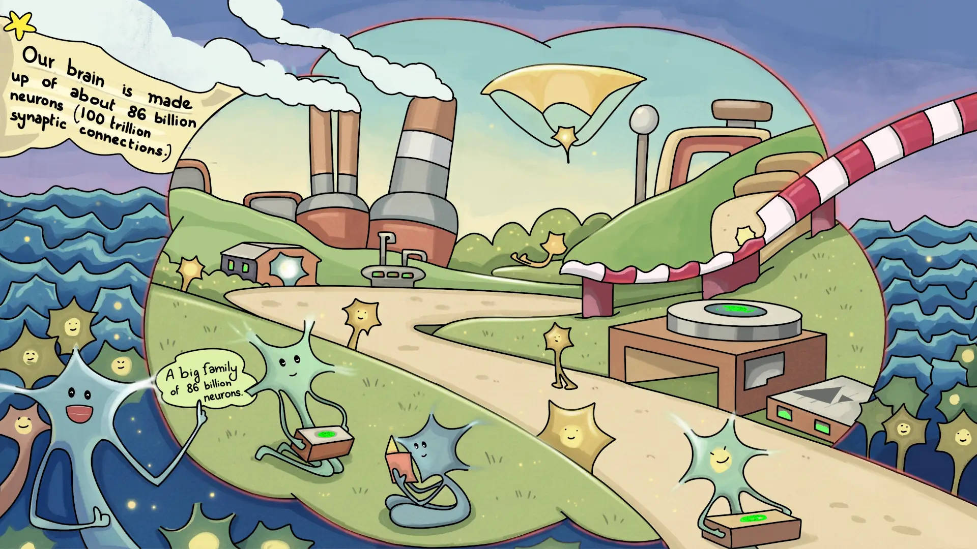 Human nervous system fun fact