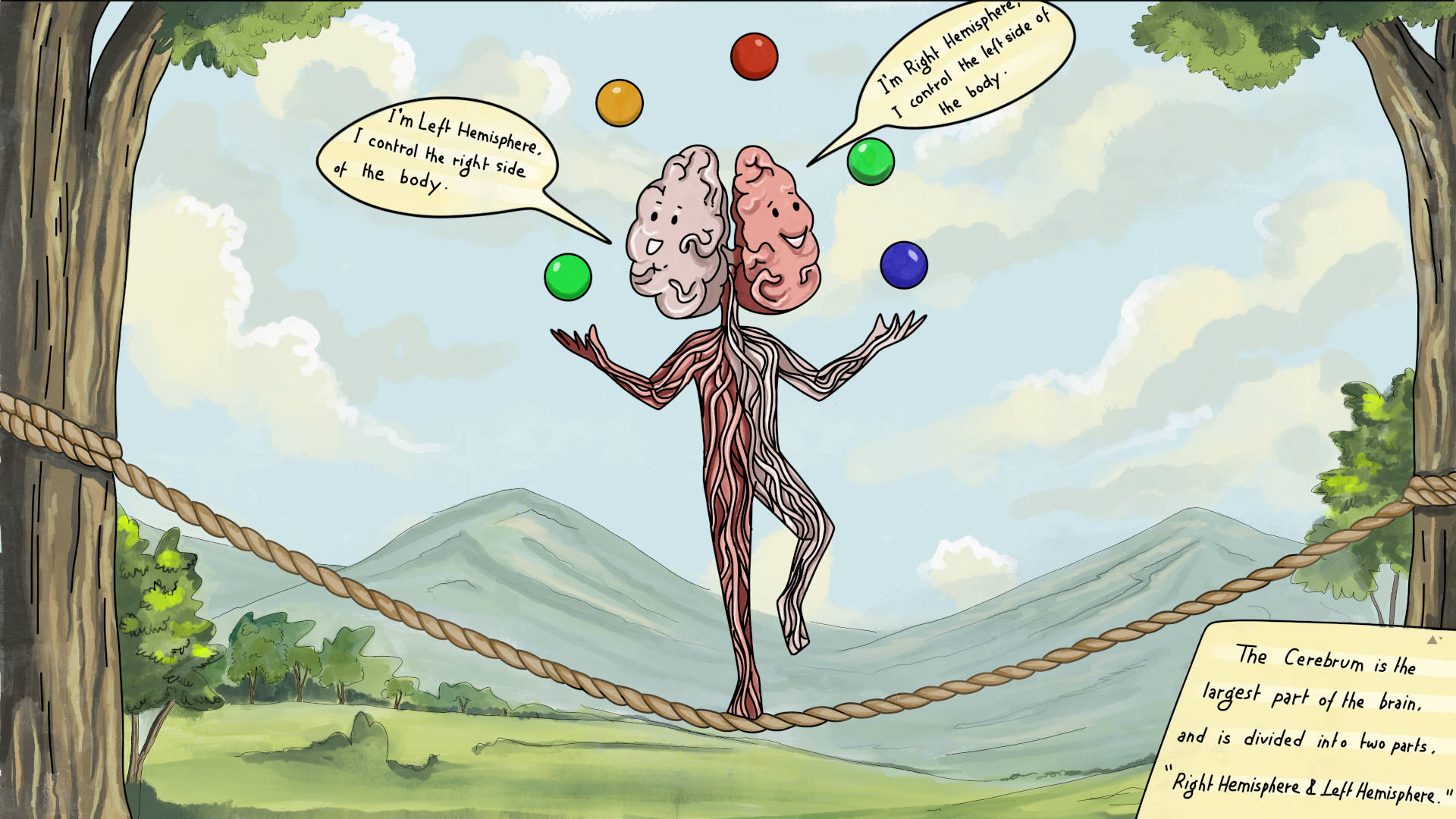 Human nervous system fun fact