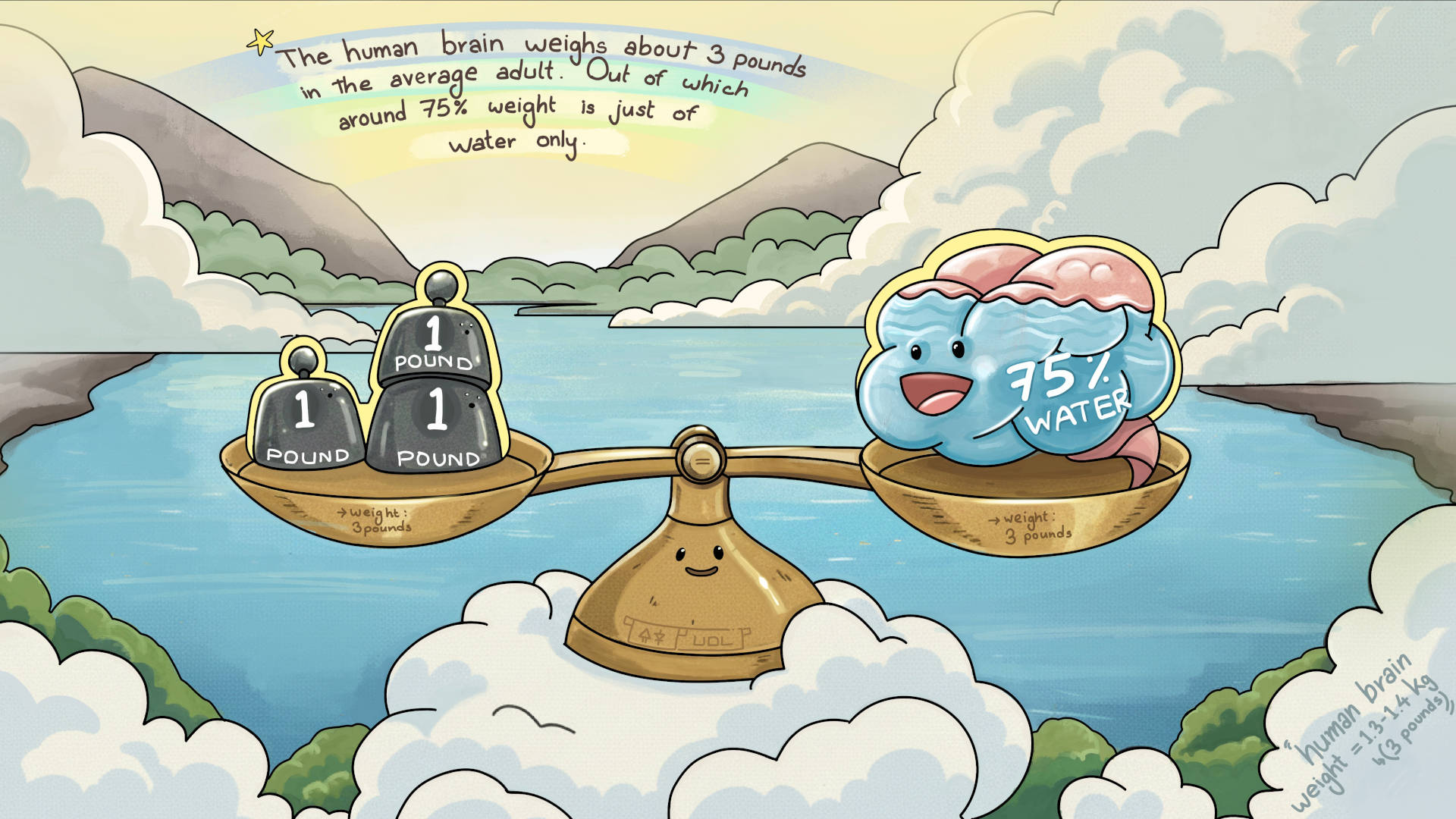 Human nervous system fun fact