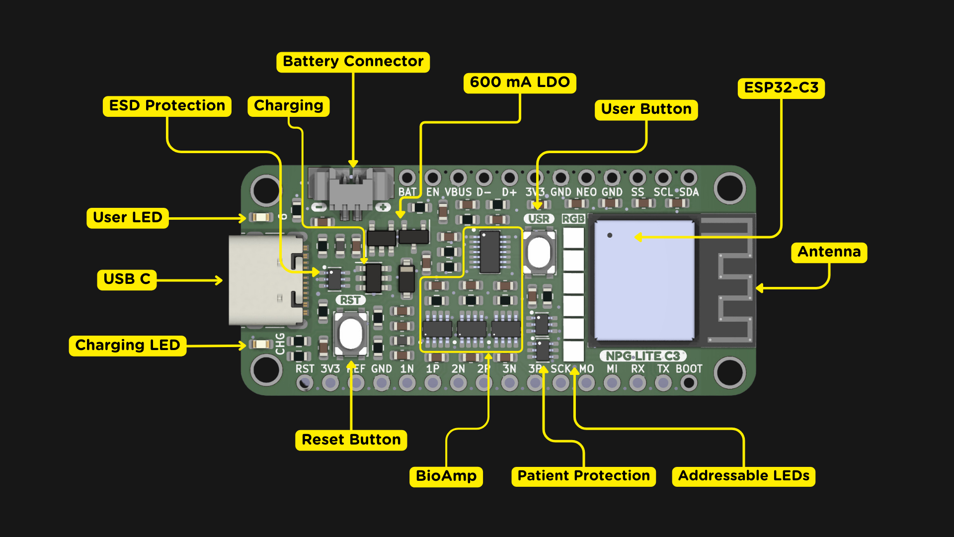 Neuro PlayGround (NPG) Lite C3 annotations