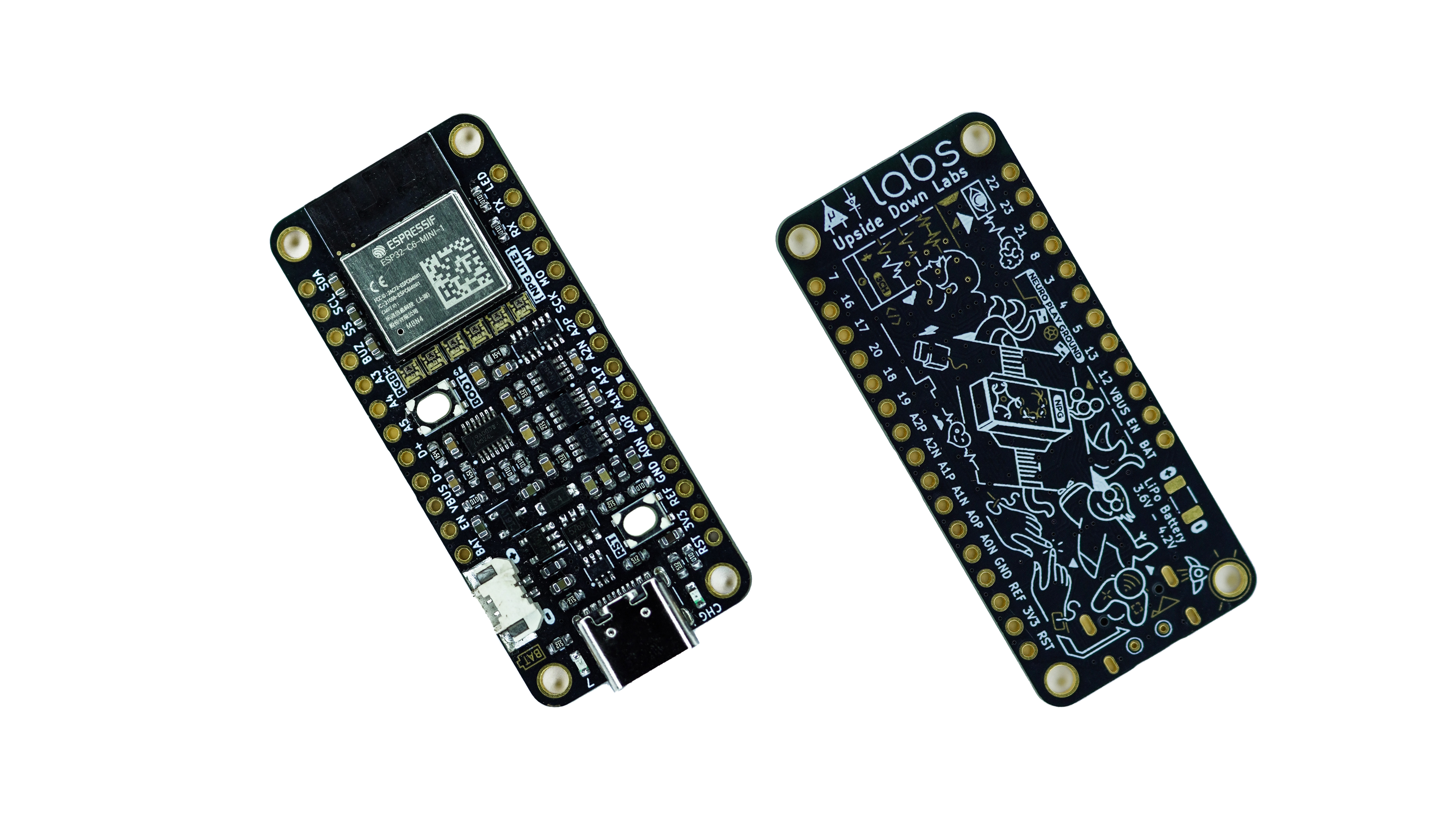 Neuro PlayGround (NPG) Lite