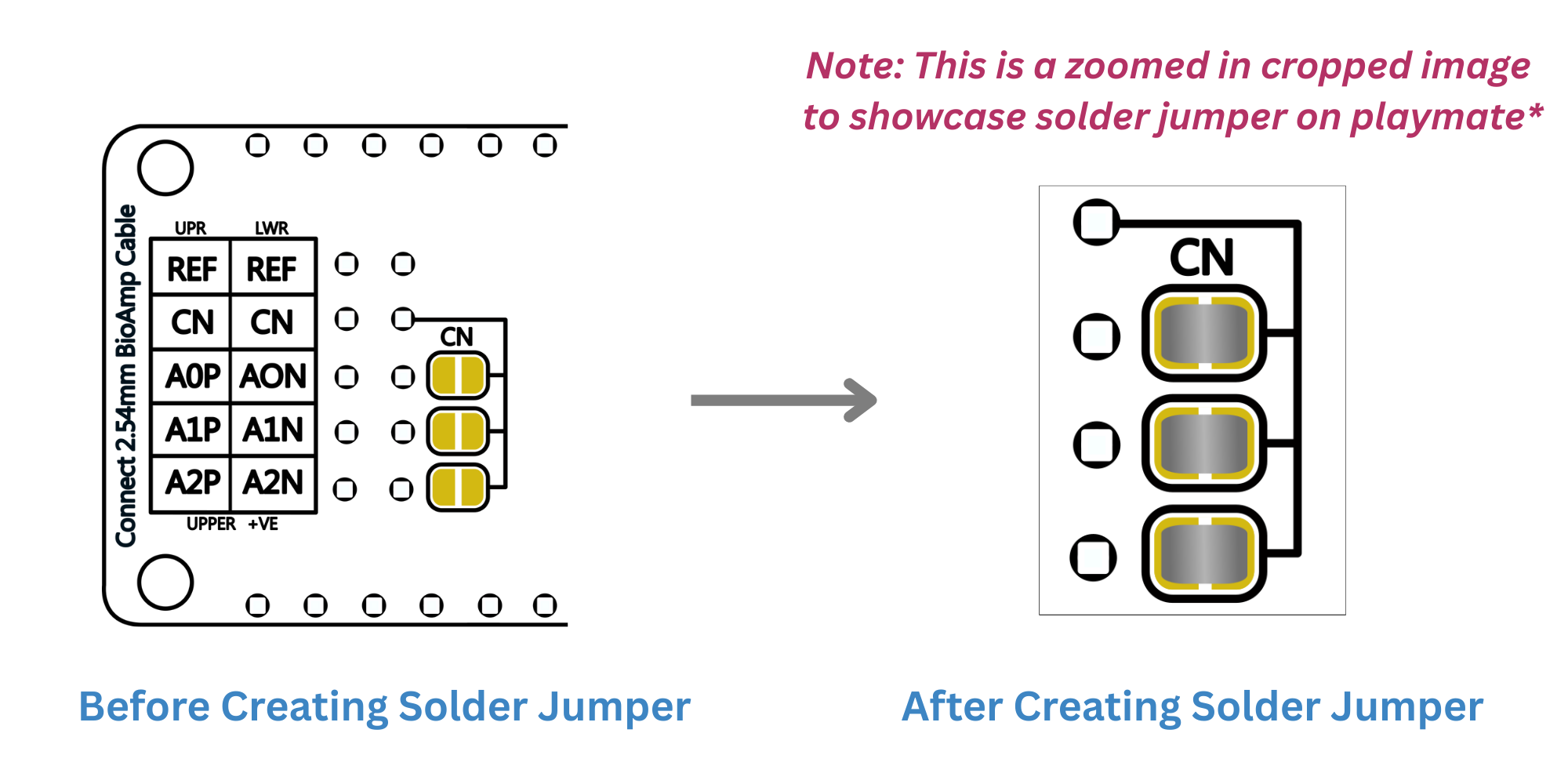 NPG Lite VibZ Playmate Common Negative