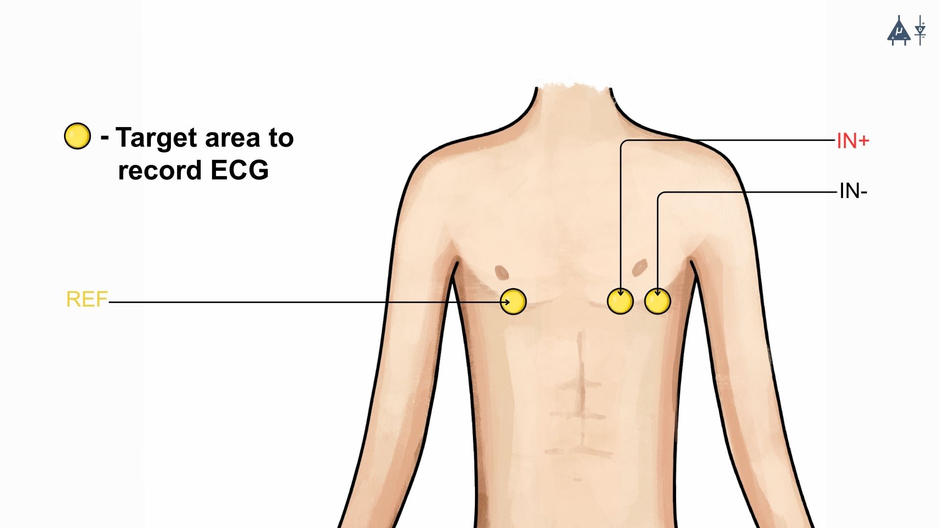 ../../../_images/skin-prep-ecg.jpeg